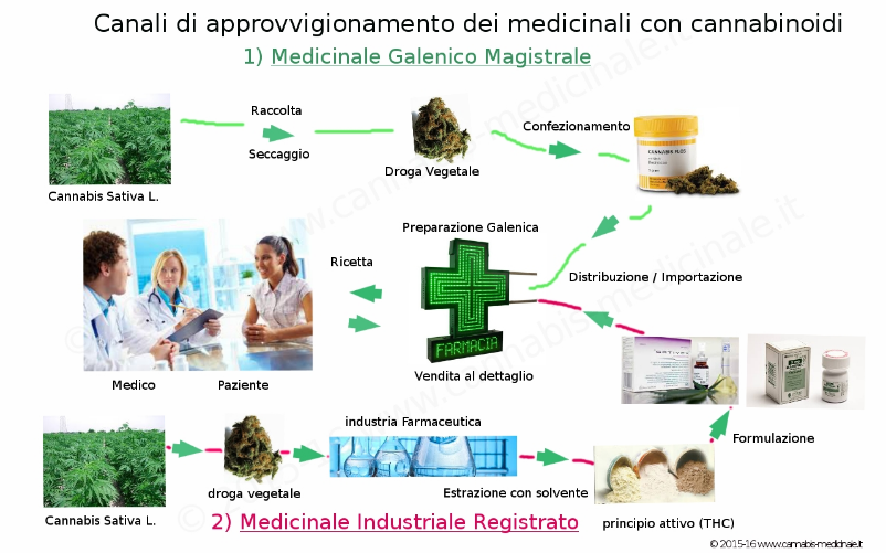 Canali di approvvigionamento farmaci cannabinoidi in Italia